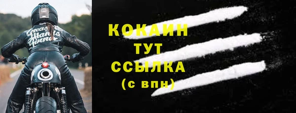СК Елизово