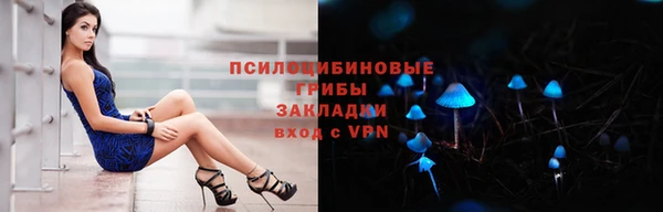 spice Елабуга