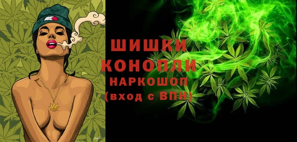 СК Елизово