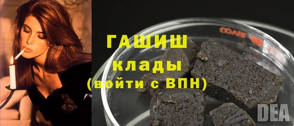 СК Елизово