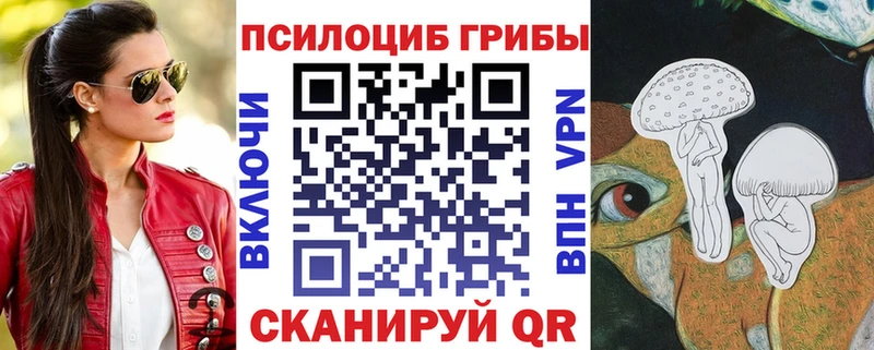 Галлюциногенные грибы MAGIC MUSHROOMS  Купить закладки  Абакан 